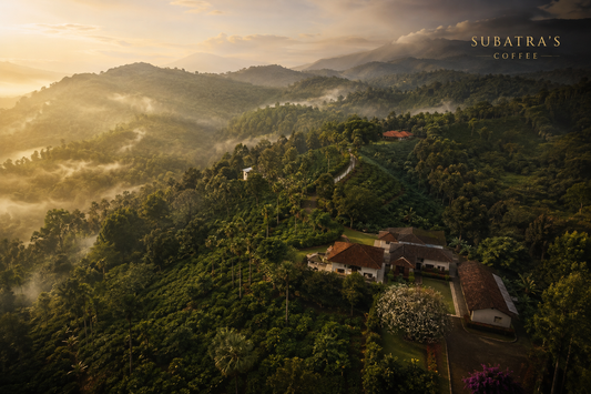 What's Brewing: The Biggest Coffee Stories of 2026
